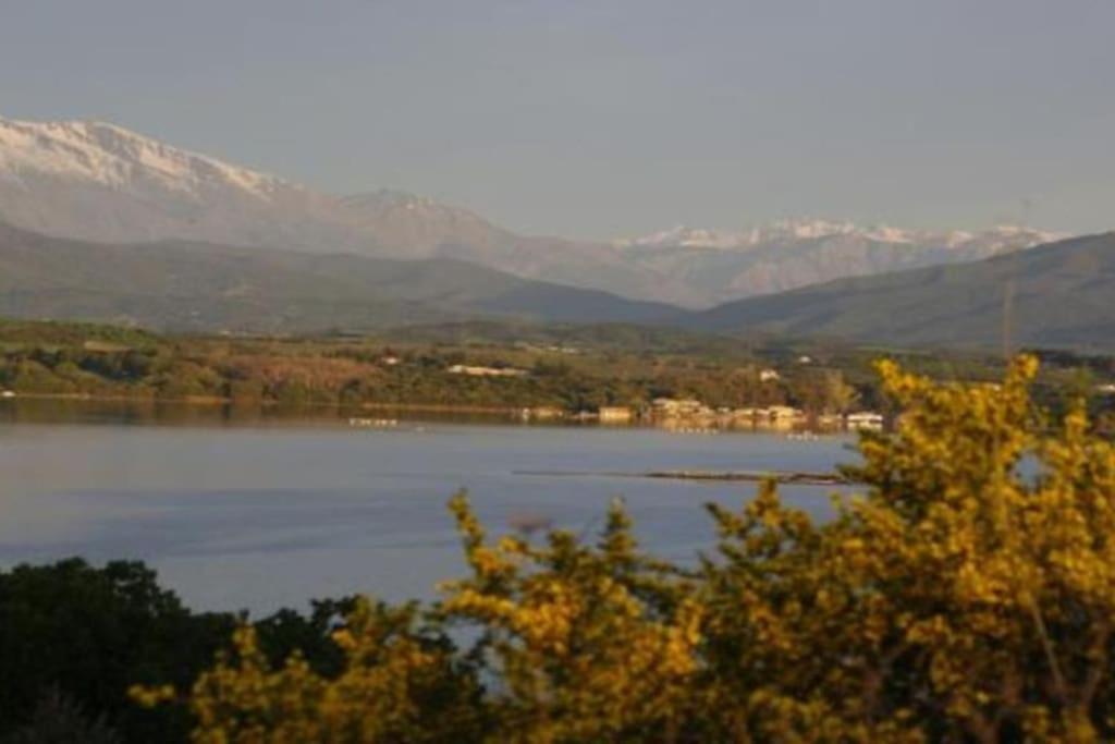 8 Pers. - Domaine De Padulone Aleria (Corsica)