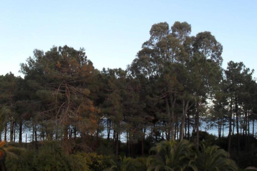 Apartment 8 Pers. - Domaine De Padulone Aleria (Corsica)